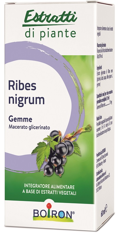 RIBES NIGRUM BOIRON MACERATO GLICERICO 60 ML - Farmapre