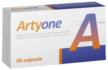 ARTYONE 30 CAPSULE - Farmapre
