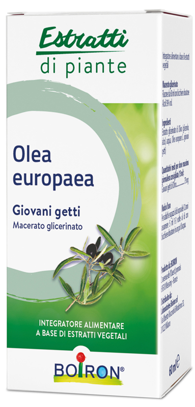 OLEA EUROPAEA BOIRON MACERATO GLICERICO 60 ML - Farmapre
