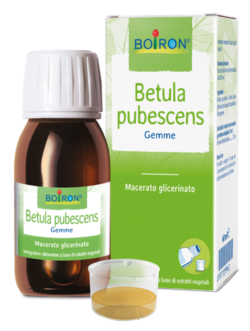 BETULA PUBESC BOIRON MACERATO GLICERICO 60 ML - Farmapre