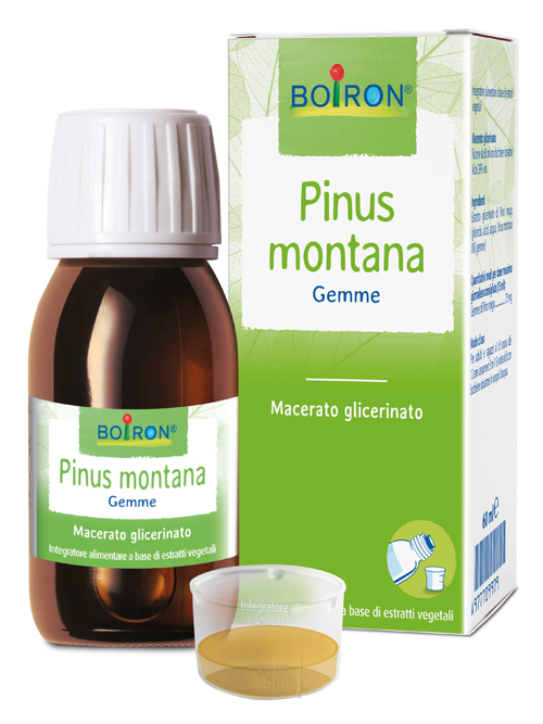 PINUS MONTANA BOIRON MACERATO GLICERICO 60 ML - Farmapre