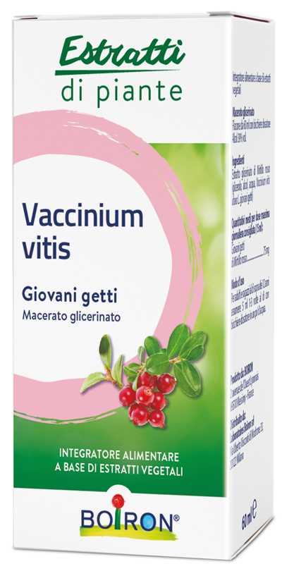 VACCINIUM VITIS MACERATO GLICERICO 60 ML - Farmapre