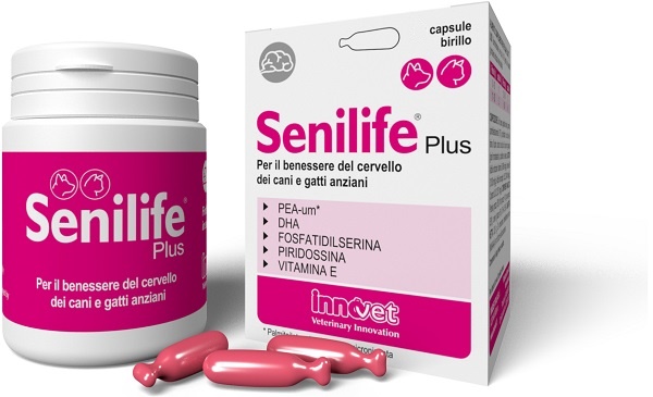 SENILIFE PLUS 30 CAPSULE - Farmapre