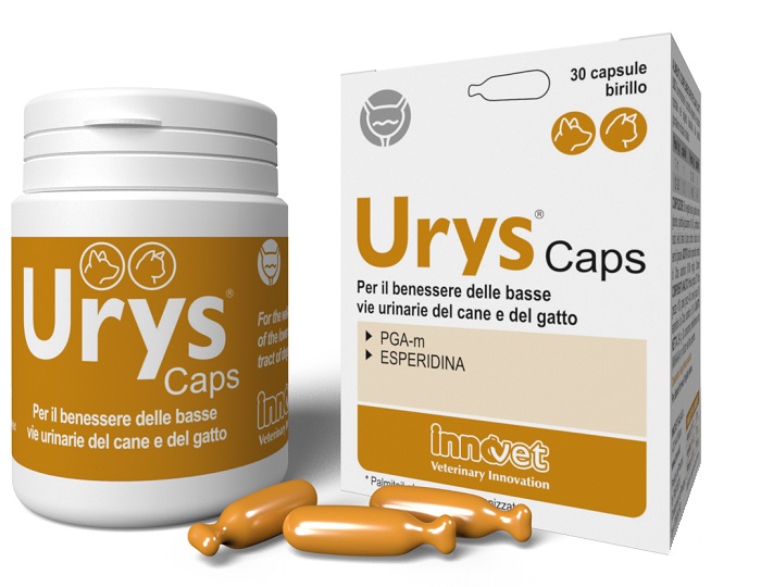 URYS CAPS 30 CAPSULE - Farmapre