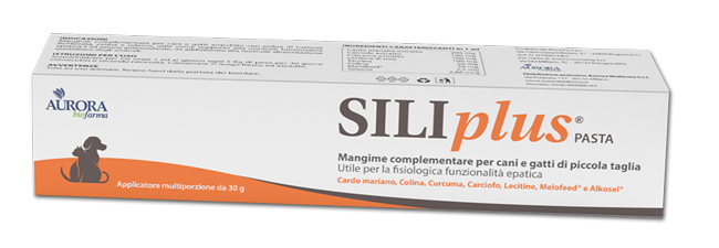 SILIPLUS PASTA 30 G - Farmapre
