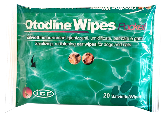 OTODINE WIPES POCKET 20 PEZZI - Farmapre