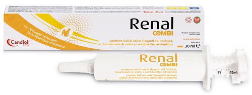 RENAL COMBI PASTA 30 ML - Farmapre